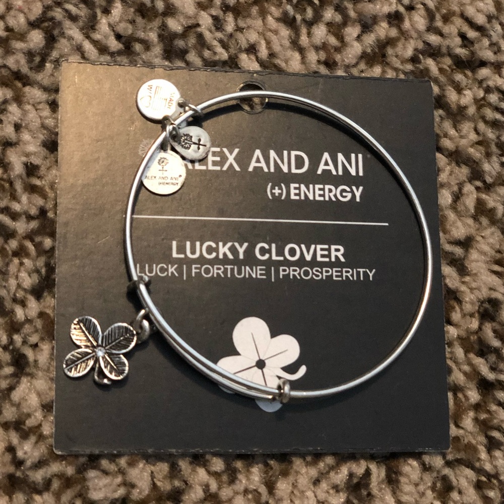 Alex and ani bracelet
